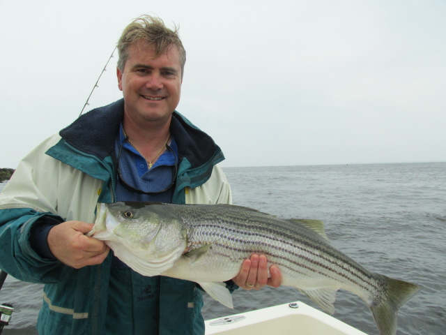 Mark's striped bass 8-9-13